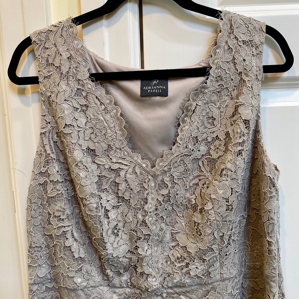 Adrianna Papell Nude Lace Dress - Picture 3 of 5